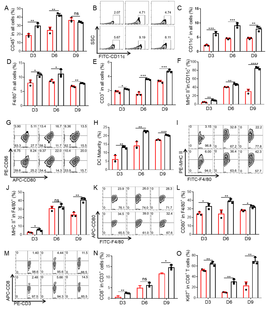 苏州大学汪超教授团队《AM》:用于肿瘤免疫治疗的3D打印支架疫苗的图4